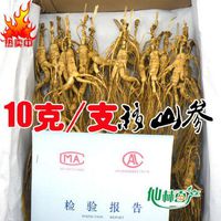 500 Grams (1.1 lb) Dry Transplant Wild Ginseng Root Herbs, About 20 Years, Relative Integrity