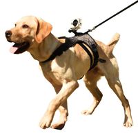 Heywean Dog Harness with Camera Mount from Dog Perspective, Harness and Leash Set with High Stability, Adjustable Vest for Medium and Large Dogs(Black, L)