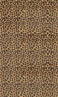 Tissue Paper in Leopard Tissue 20 x 30 Inches - Pack of 120