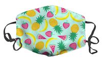 Dust Face Mask for Dust Mouth Mask Anti-Dust Mask Adjustable Earloop Face Mask (Fruit Mix)
