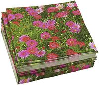 100-Pack Decorative Napkins - Pink Daisy Floral Print Disposable Paper Party Napkins - Soft and Absorbent Cocktail Napkins for Luncheon, Dinner and Celebration, Pink, 13 x 13 Inches