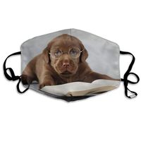 Hateone Unisex Unique Mouth Mask - Cute Labrador Dog with Glasses Polyester Anti-dust Masks - Fashion Washed Reusable Face Mask for Outdoor Cycling