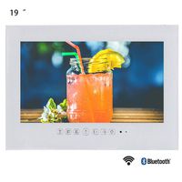 Soulaca 19" Smart Android White ip66 Waterproof Bathroom LED TV with WiFi for Hotel Sauna Room Kitchen TV T190FAWYAA (White)