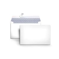AmazonBasics #6 3/4 Security-Tinted Envelopes with Peel & Seal, 100-Pack, White - AMZA25