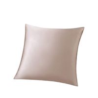 ZIMASILK 100% Mulberry Silk Pillowcase for Hair and Skin,Square Couch Cushion Cover with Hidden Zipper,Both Sides 19 Momme Silk, 1pc (Throw 18''x18'', Taupe)