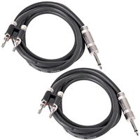 Seismic Audio BS12Q5-2Pack Pro Audio Banana to Speakon 12-Gauge 2 Conductor, Pair