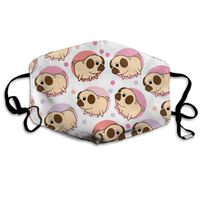 Pugs Pattern Dust Mask,Washable and Reusable Cleaning Gardening Outdoor Activities Warm Windproof Mask