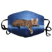 YUIOP Beautiful Bengal Cat Printed Mask Neutral Mask for Men and Women Polyester Dust-Proof Breathable Mask