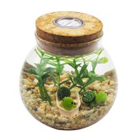 OMEM Multi Color Aquarium Set Moss Ball Terrarium Gravel Doll Boat Workbench Decoration Turtles