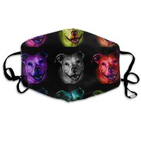 Rainbow Pitbull Art Pattern Dust Mask,Washable and Reusable Cleaning Gardening Outdoor Activities Warm Windproof Mask