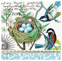 Michel Design Works 20-Count 3-Ply Paper Cocktail Napkins, Bird Nest