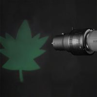 Walimex Balcar Universal Optical Snoot