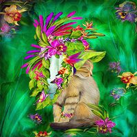 Meidexian888 DIY 5D Diamond Painting,Embroidery Paintings Rhinestone Pasted DIY Diamond Painting Cross Stitch (B)