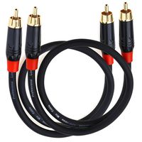 JEEUE Professional RCA Stereo Audio Cable RCA Male to RCA Male HiFi System Subwoofer Converter Adapter with Diameter 6mm (1.6Feet -2PCS)