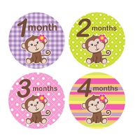 Baby Monthly Stickers for Onesies Monkey 1-12 Months Milestone Stickers Newborn Girl Stickers Infant Photo Prop Baby Shower Gift Bonus Sheet Included