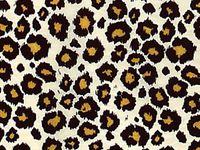 Safari Leopard Tissue Paper 20x30" - 24 Sheets