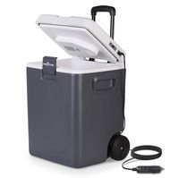 ROCKPALS Car Fridge Electric Cooler and Warmer for Car, 32Quart Mini Fridge for Car and Home with Wheel&Pull Out Handle,12V DC 40Cans Portable Car Coolers for Road Trip, Camping,Truck Driver,Office,RV