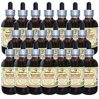 Maitake (Grifola Frondosa) Tincture, Organic Dried Mushroom Liquid Extract (Brand Name: HerbalTerra, Proudly Made in USA) 20x4 fl.oz (20x120 ml)