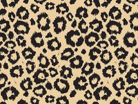 LEOPARD SAFARI KRAFT Recycled240~20"x30" Sheets Tissue Prints (1 unit, 240 pack per unit.)