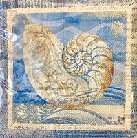 CR Gibson Set of 40 Luncheon Paper Napkins ~ Shells