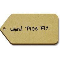 Azeeda 10 x 'When Pigs Fly' 66mm x 34mm Gift Tags (TG00007663)