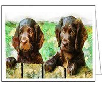 Boykin Spaniels Set of 6 Blank Notecards and Envelopes By Doggylips