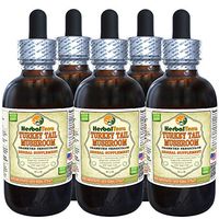 Turkey Tail Mushroom (Trametes Versicolor) Tincture, Dried Mushroom Liquid Extract (Brand Name: HerbalTerra, Proudly Made in USA) 5x2 fl.oz (5x60 ml)