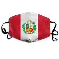 NUNOFOG Flag of Peru Unisex Safety Masks Washable and Reusable Cleaning Gardening Dust Respirator Mouth Masks for Men Women One Size