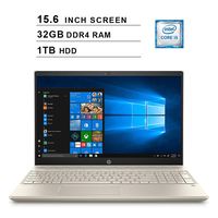 2019 HP Pavilion 15.6 Inch FHD Laptop (8th Gen Inter 4-Core i5-8250U up to 3.4GHz, 32GB DDR4 RAM, 1TB HDD, Intel UHD Graphics 620, WiFi, Bluetooth, HDMI, Windows 10) (Renewed)