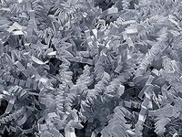 Gray Crinkle Cut Paper Shred 10 lb Box ~ Spring-fillÂ Shred - WRAPS-ZF10GY