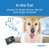 iCalmDog in The Car | Calms Dogs with Travel Anxiety While Keeping Driver Alert | Music by Through a Dog's Ear | Micro SD Sound Card
