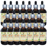 HOU TOU Gu (Hericium Erinaceus) Tincture, Dried Mushroom Liquid Extract (Brand Name: HerbalTerra, Proudly Made in USA) 20x4 fl.oz (20x120 ml)