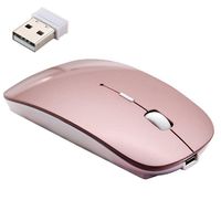 Wireless Mouse, DINOWIN 2.4G USB Rechargeable Wireless Slim Mice with Nano Receiver for Notebook, PC, Laptop, Computer, Macbook (Rose Gold)