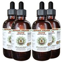 Olive Alcohol-Free Liquid Extract, Organic Olive (Olea europaea) Dried Leaf Glycerite Natural Herbal Supplement, Hawaii Pharm, USA 4x4 fl.oz