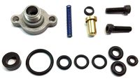 Upgraded Fuel Pressure Regulator Blue Spring Kit For 1999.5-2003 Ford 7.3L Powerstroke Diesel