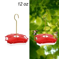 Juegoal 12 oz Hanging Hummingbird Feeder with Four Feeding Ports