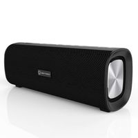 New Trent NTS30 Wireless Portable Speaker, 30W Output, TWS Stereo Speakers with Dual Bass Radiator, Built-in Microphone for Handsfree Calling