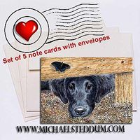 Michael Steddum Get It, Flat Coated Retriever Note Card Set