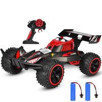 NQD Remote Control Car 2019 Updated 1:16 Scale 2.4Ghz Radio Remote 25Km/h All Terrain RC Car with Two Rechargeable Batteries Electric Toy Car for All Adults & Kids