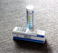 4TUBES / 100PCS Home Urine Test Strips Urine Dipstick UTI,Kidney,for Protein, 3 Seconds ONLY