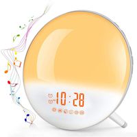 Sunrise Alarm Clock, Te-Rich Wake Up Light with FM Radio/Dual Alarm/7 Nature Sounds & Light Colors/Snooze/20 Brightness, Sleep Aid Lamp Dawn Simulator for Heavy Sleepers/Kids/Teen Girls Boys Bedrooms