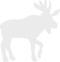 hBARSCI Moose Vinyl Decal - 5 Inches - for Cars, Trucks, Windows, Laptops, Tablets, Outdoor-Grade 2.5mil Thick Vinyl - White
