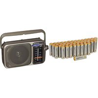 Panasonic RF-2400D AM/FM Radio, Silver & AmazonBasics AA 1.5 Volt Performance Alkaline Batteries - Pack of 48
