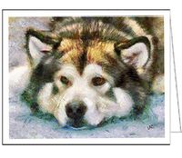 Alaskan Malamute - Eyak - Set of 6 Blank Notecards By Doggylips
