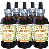 HOU TOU Gu (Hericium Erinaceus) Tincture, Dried Mushroom Liquid Extract (Brand Name: HerbalTerra, Proudly Made in USA) 5x2 fl.oz (5x60 ml)