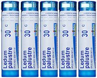 Boiron Ledum Palustre 30C (Pack of 5), Homeopathic Medicine for Insect Bites