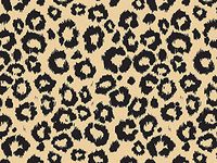 Animal Print Tissue Paper Leopard Safari Kraft - 240 Sheets
