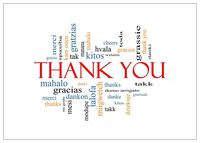 NW Pitney Ink Many Thanks Thank You Card, 5 x 7 Inches (1001TY)