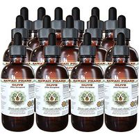 Olive Alcohol-Free Liquid Extract, Organic Olive (Olea europaea) Dried Leaf Glycerite Natural Herbal Supplement, Hawaii Pharm, USA 15x4 fl.oz
