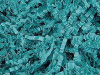 Crinkle Cut Gift Shred Filler - 10 LB - Teal